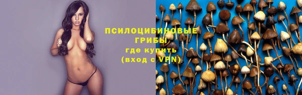 mdpv Гусь-Хрустальный