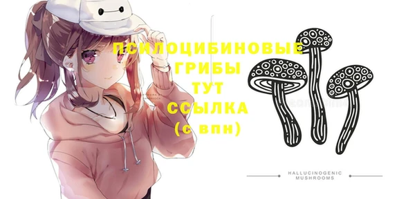 твердый Гусиноозёрск