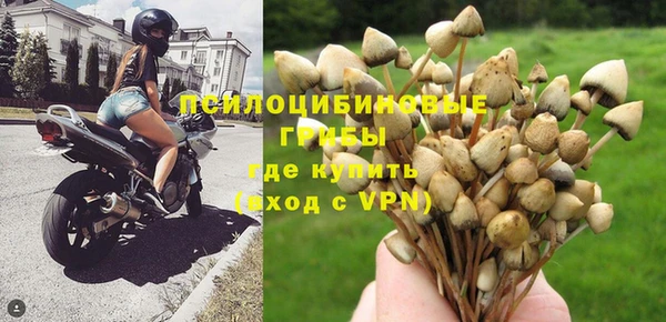 твердый Гусиноозёрск