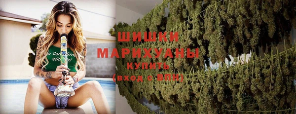 mdpv Гусь-Хрустальный